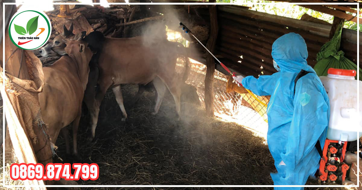 công dụng của tcca dạng bột Trung Quốc
