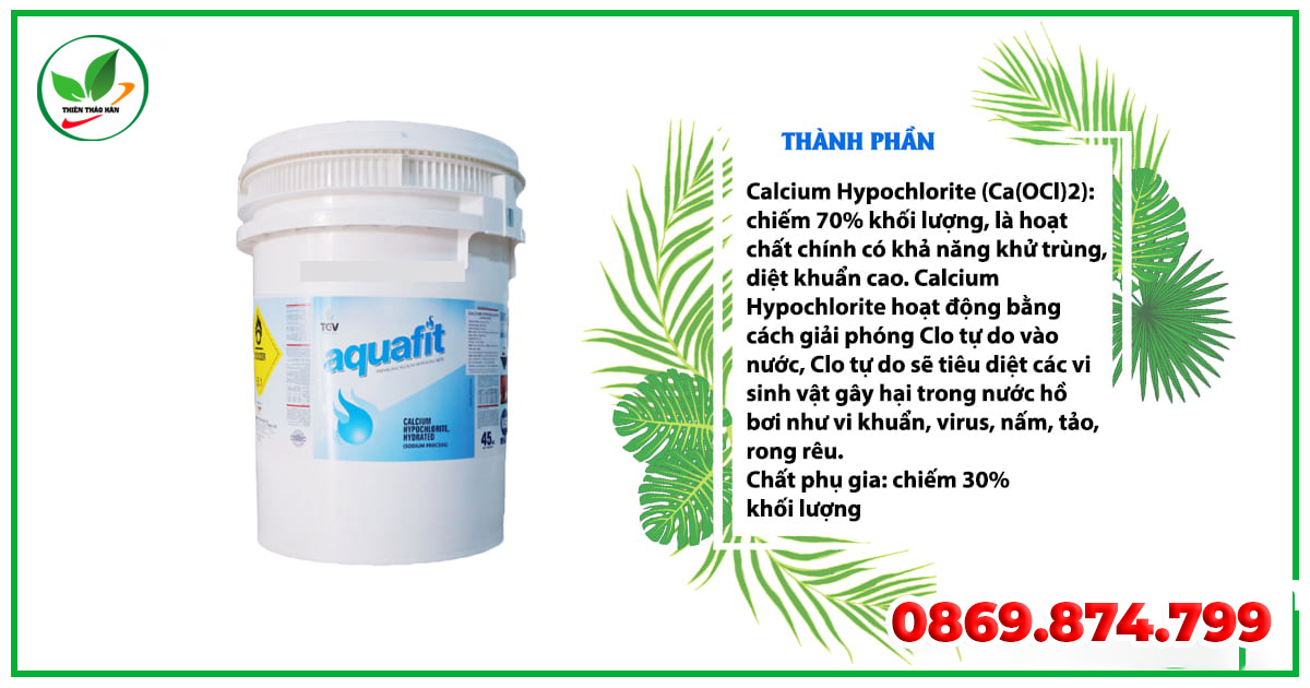thành phần clorin aquafit 70