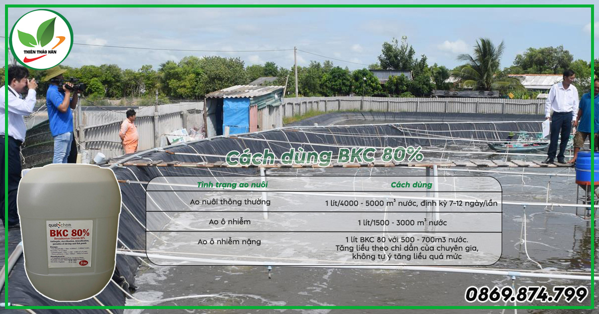 Cách sử dụng bkc 80 trong thủy sản