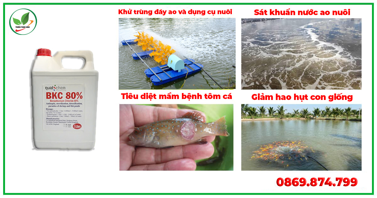 công dụng bkc 80