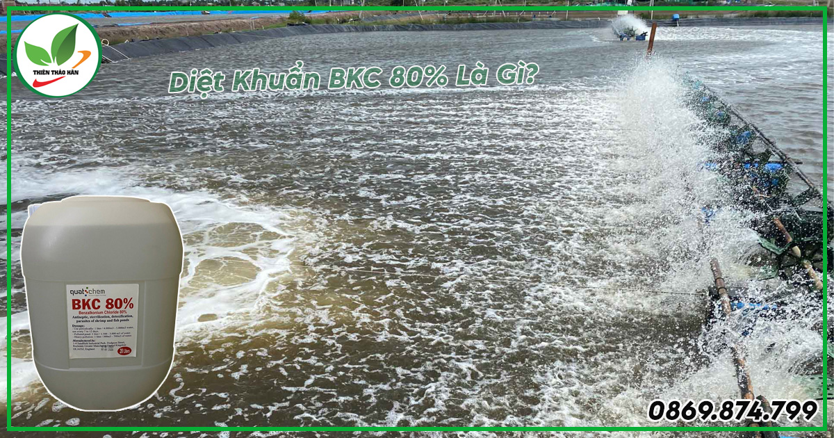 diệt khuẩn bkc 80 là gì