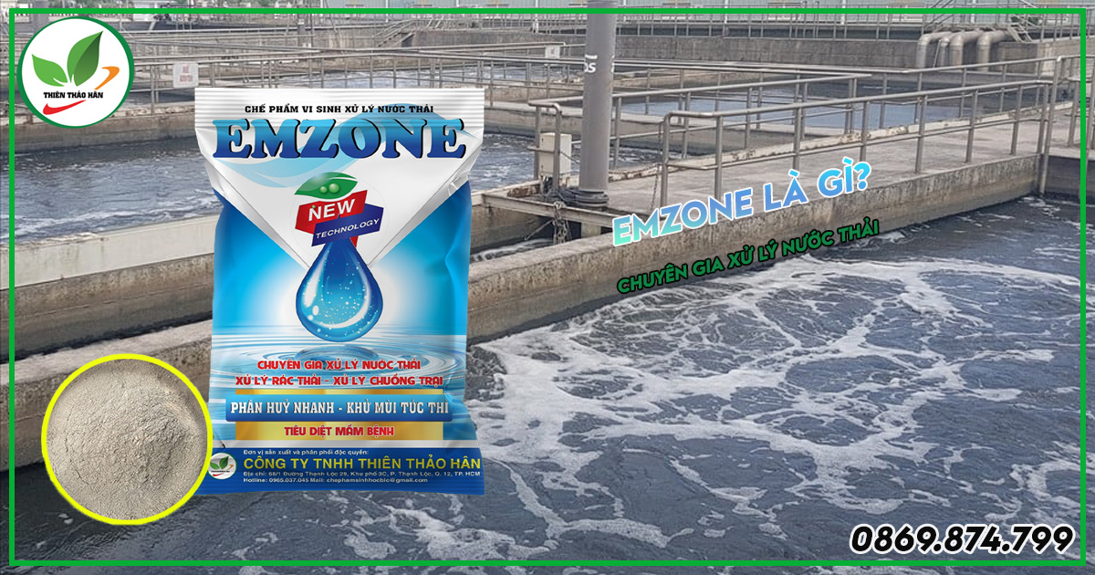 Emzone là gì