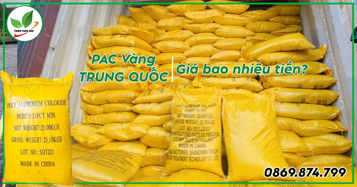 Pac Vàng Trung Quốc giá bao nhiêu tiền