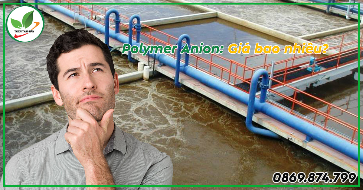 Polymer anion giá bao nhiêu tiền?