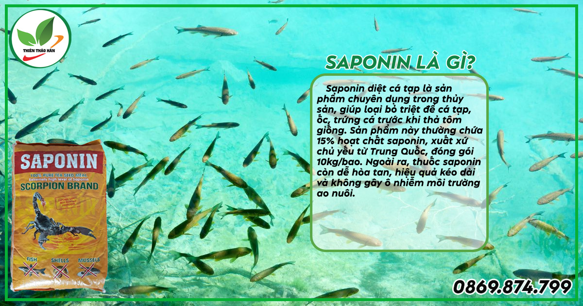 Saponin diệt cá tạp là gì