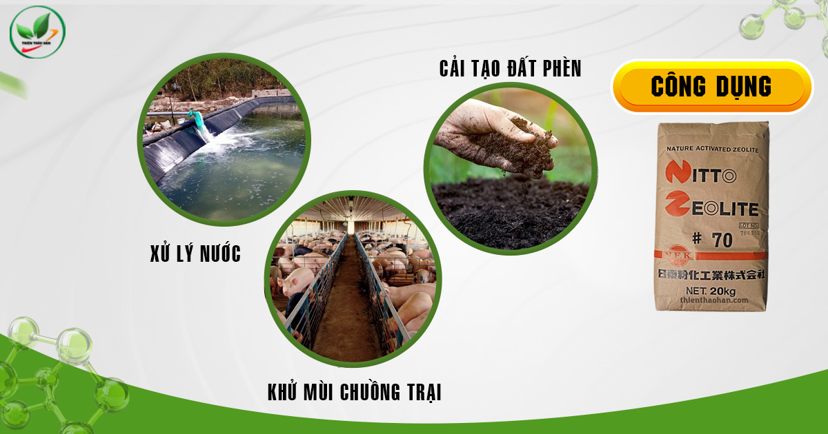 zeolite có tác dụng gì