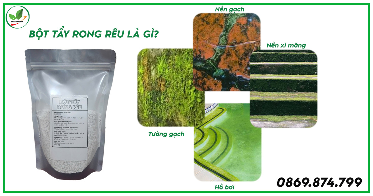 Bột tẩy rong rêu là gì?