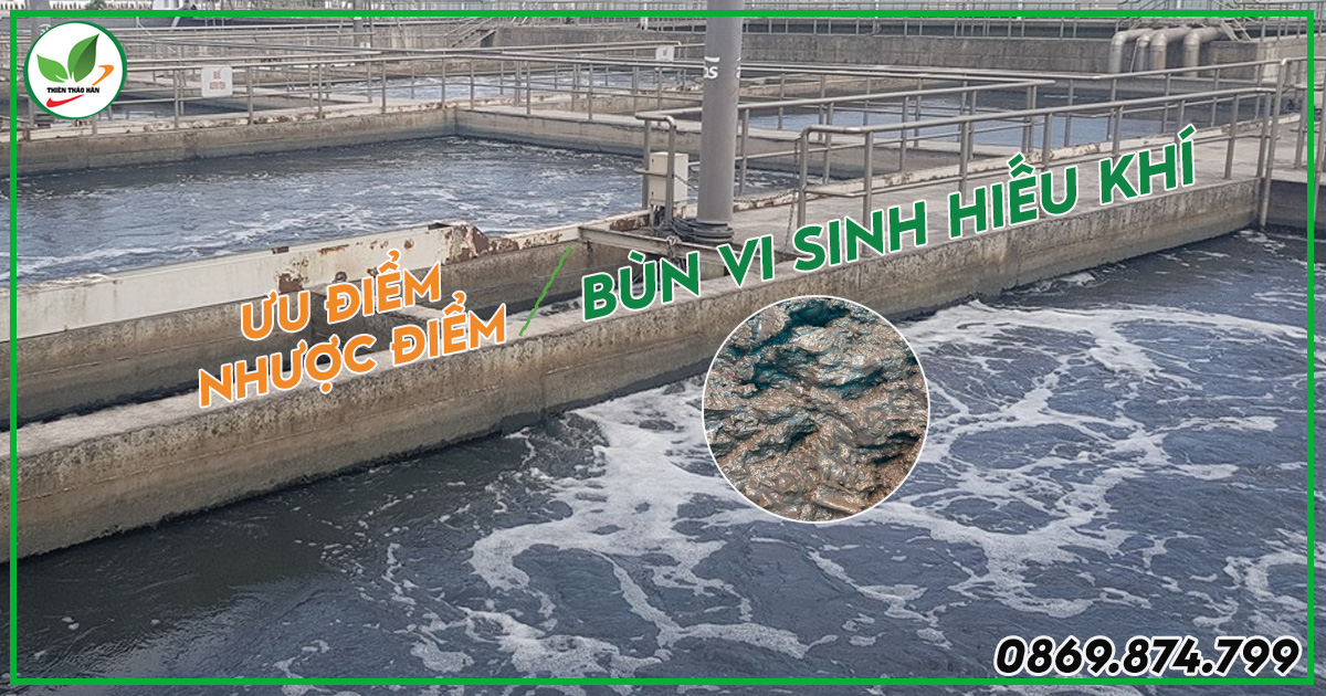 Bùn vi sinh hiếu khí trong xử lý nước thải