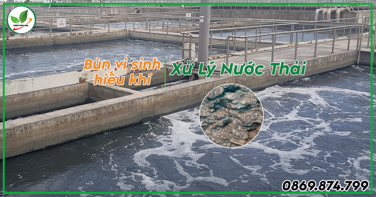 Bùn vi sinh hiếu khí trong xử lý nước thải