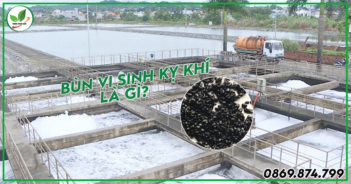 bùn vi sinh kỵ khí xử lý nước thải
