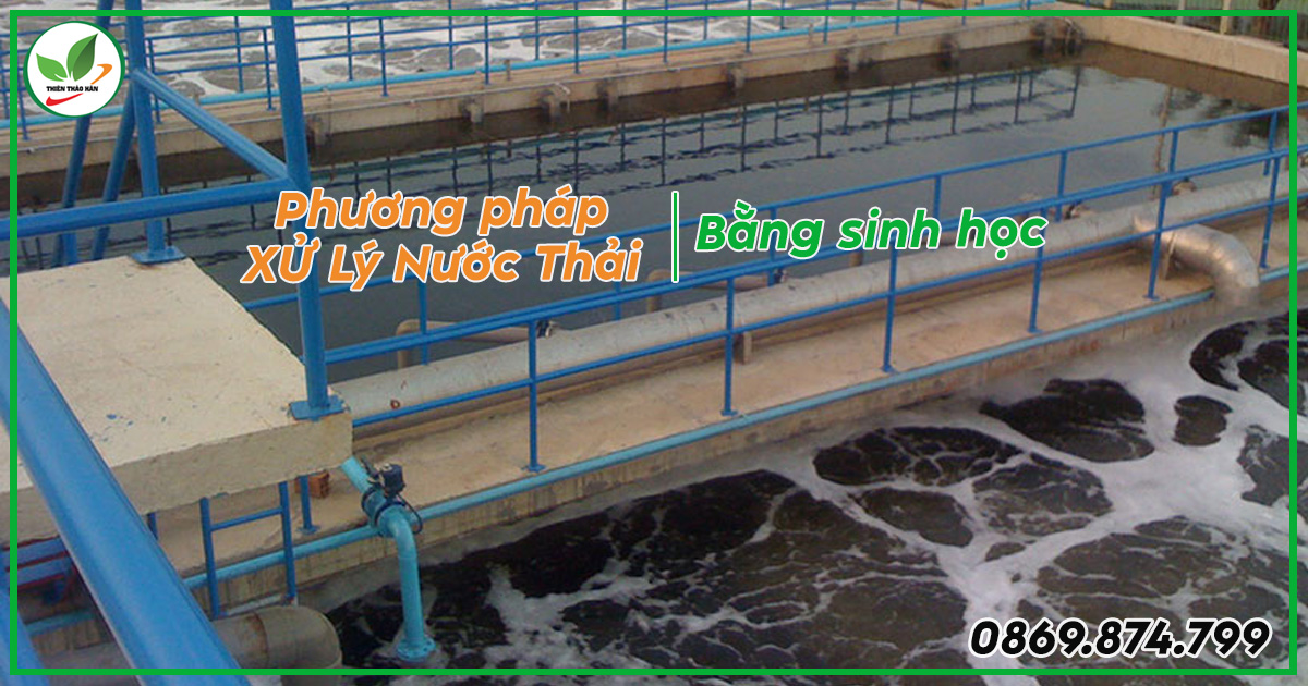 Cách xử lý nước thải bằng phương pháp sinh học
