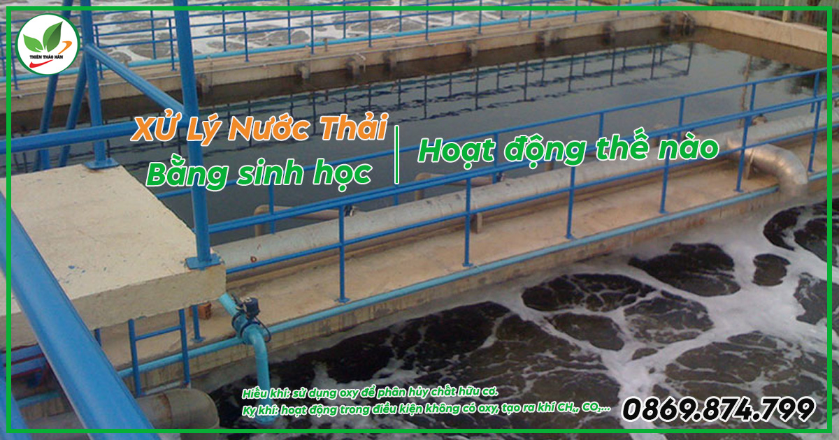 Phương pháp sinh học hoạt động như thế nào?