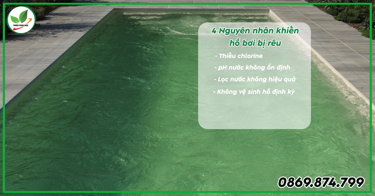 Nguyên nhân khiến nước hồ bơi có rêu