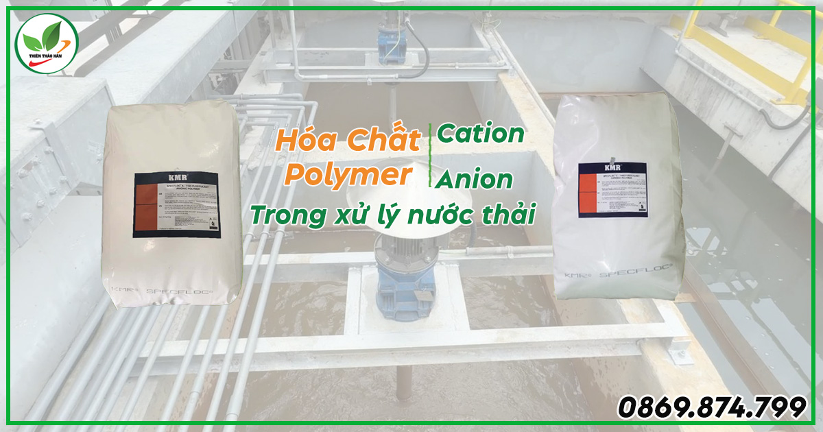 Kết hợp với Polymer Anion/Cation
