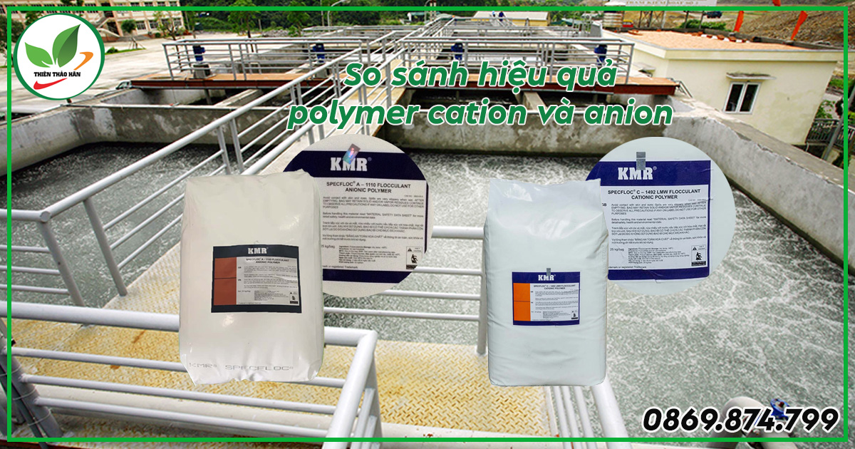 phân biệt polymer cation và anion