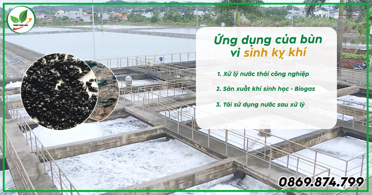 Bùn vi sinh kỵ khí xử lý nước thải