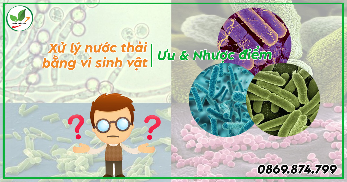 Ưu và nhược điểm của phương pháp xử lý nước thải bằng vi sinh