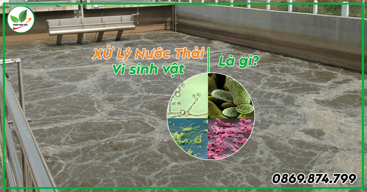 Xử lý nước thải bằng vi sinh vật