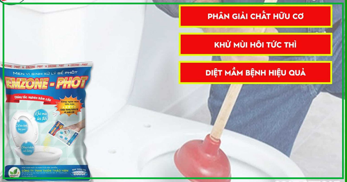 cách xử lý mùi hôi cống nhà vệ sinh