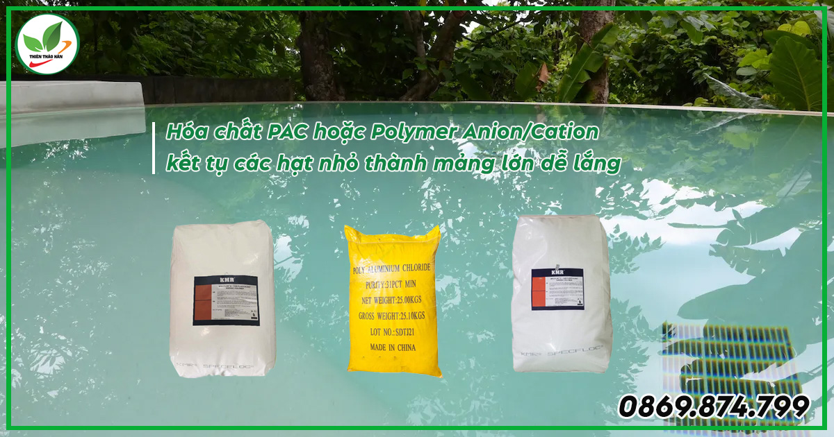 cách xử lý nước hồ bơi bị đục