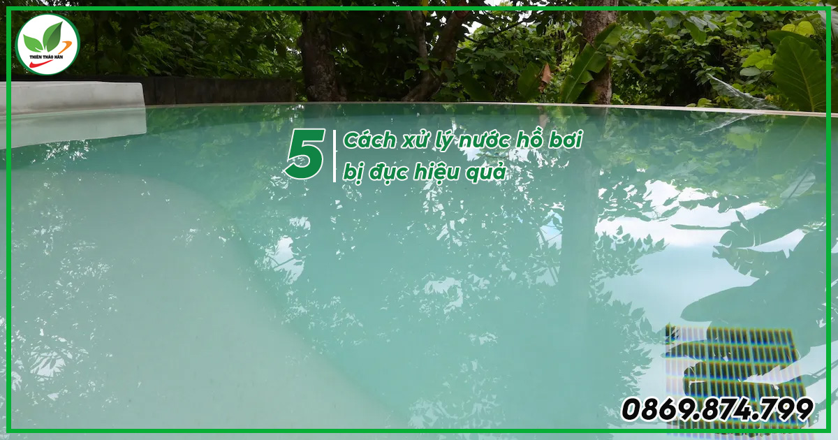cách xử lý nước hồ bơi bị đục