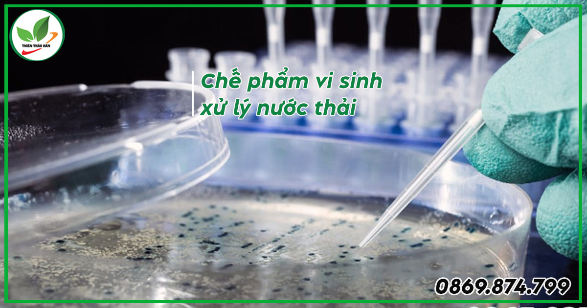 chế phẩm vi sinh xử lý nước thải
