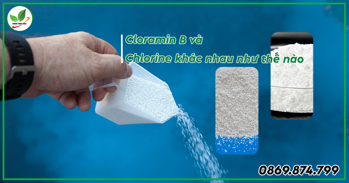 Chlorine và Cloramin B là gì?