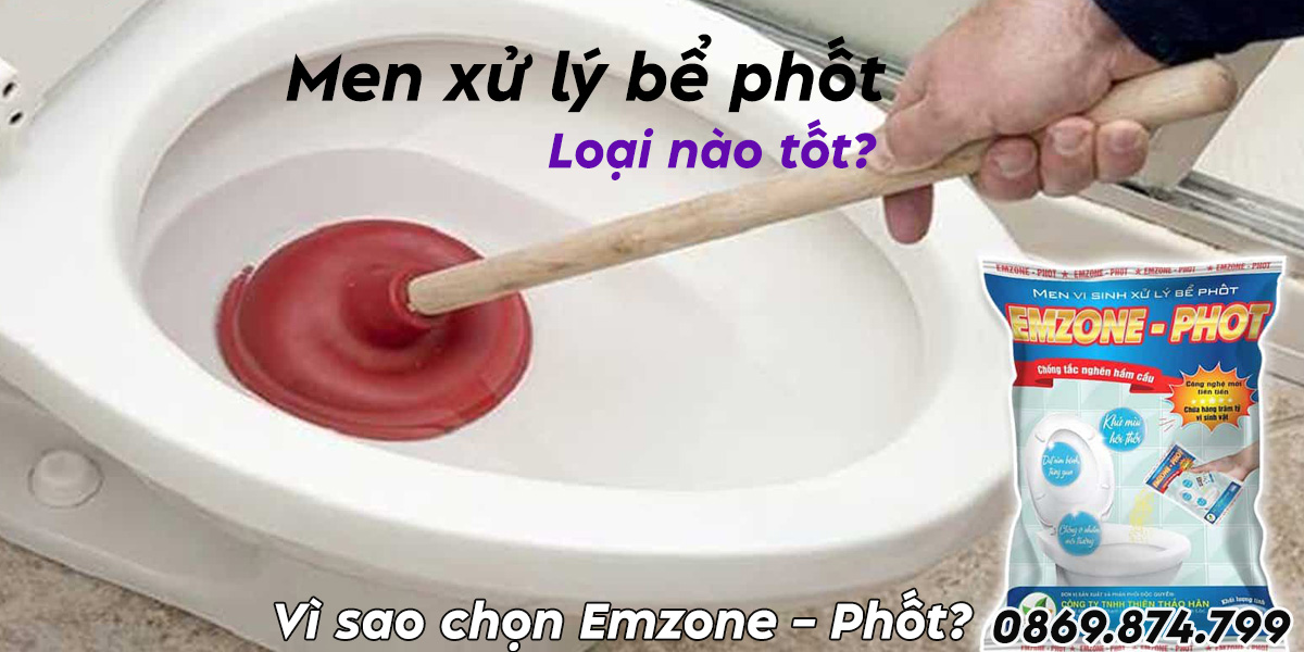 Men xử lý bể phốt tốt nhất hiện nay
