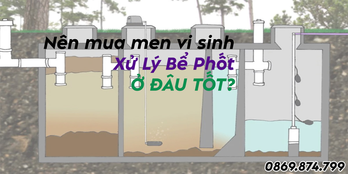 nên mua men vi sinh ở đâu tốt