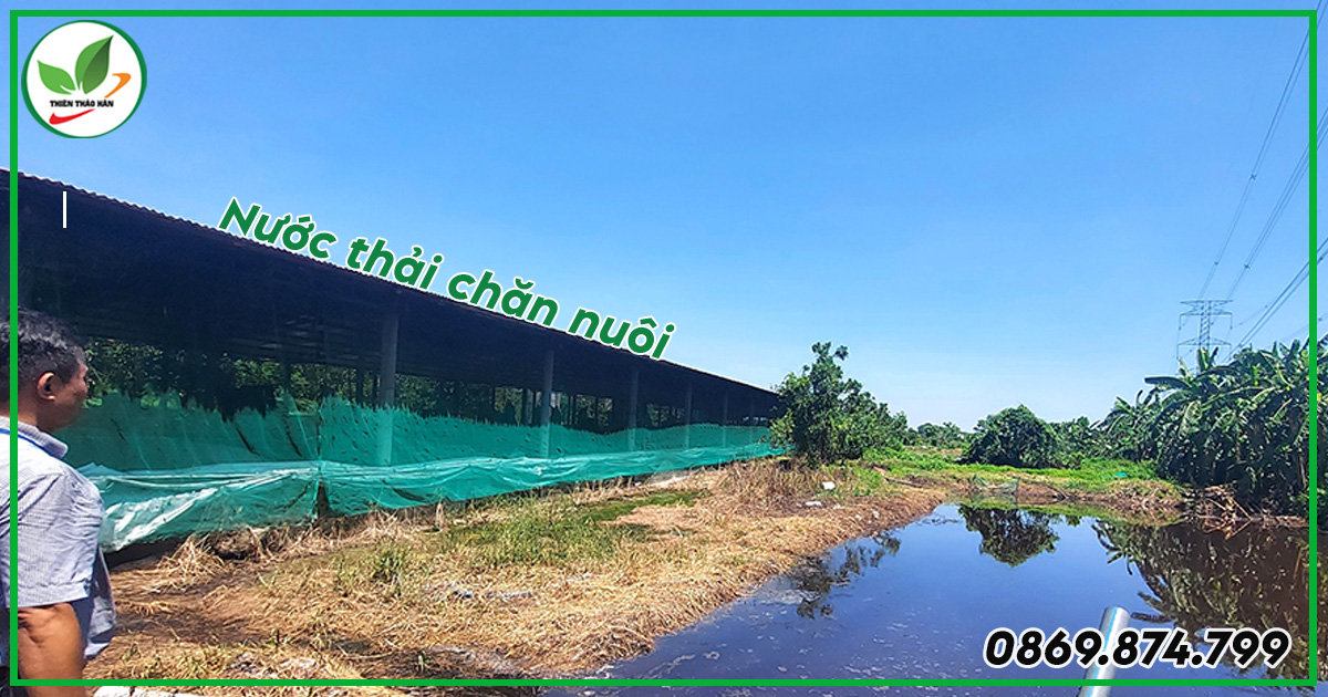 Nguyên nhân amoni trong xử lý nước thải