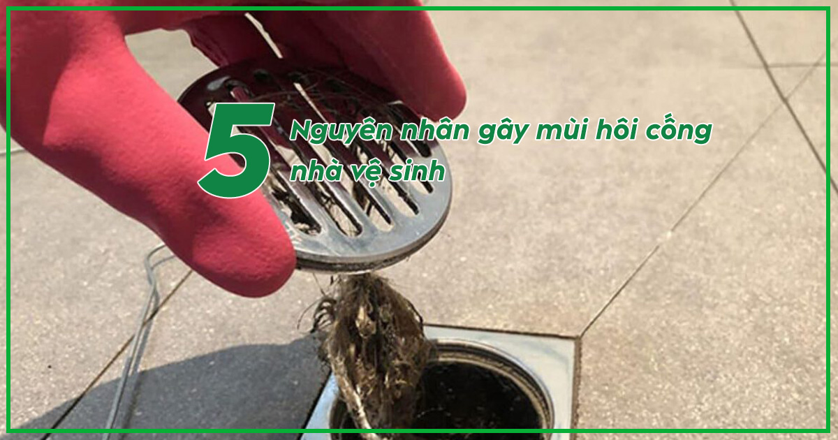 Nguyên nhân gây mùi hôi cống nhà vệ sinh