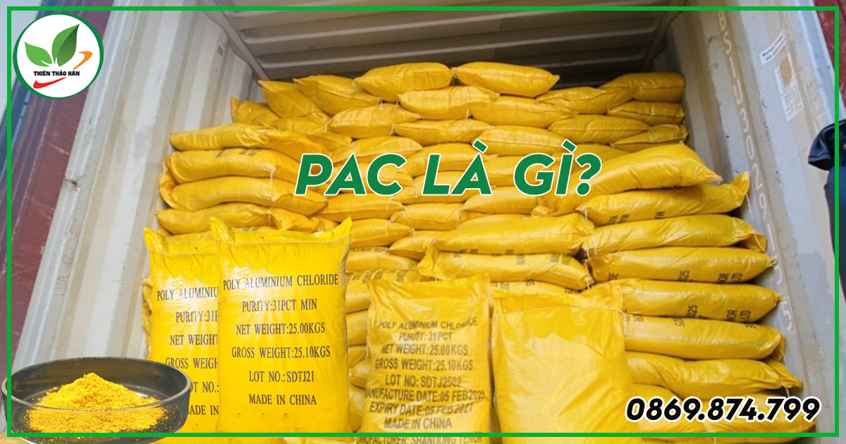 Pac là gì?