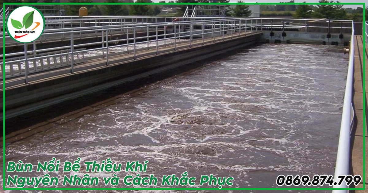 Bùn nổi bể thiếu khí