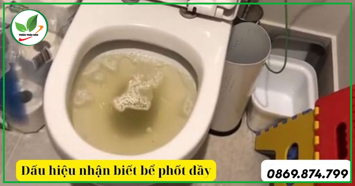 Dấu hiệu bể phốt bị đầy dễ nhận biết