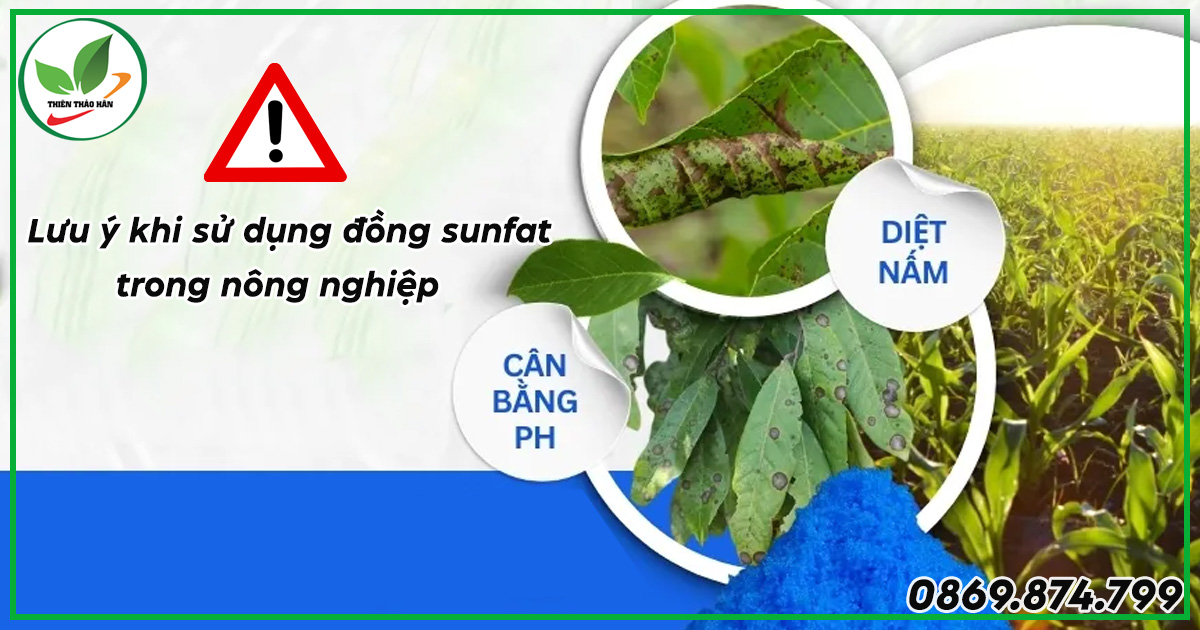 Lưu ý khi sử dụng đồng sunfat trong nông nghiệp