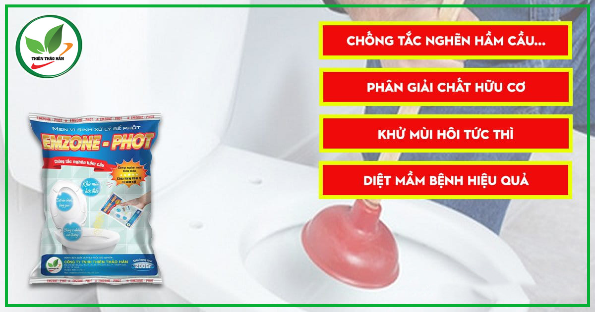 men vi sinh xử lý bể phốt
