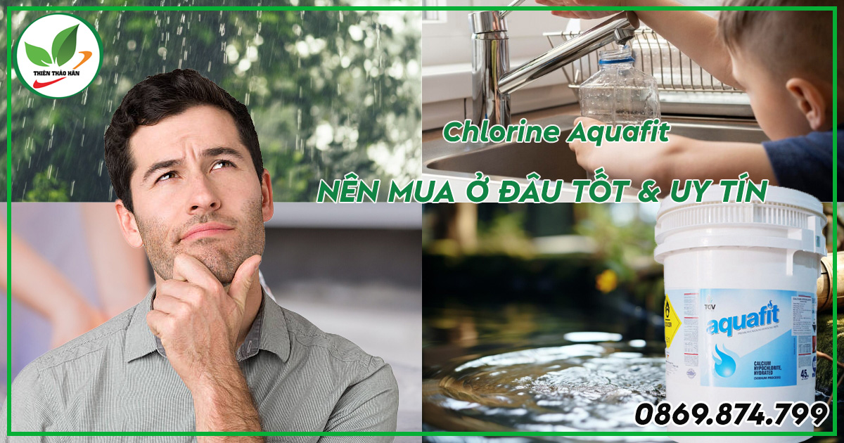 Nên mua chlorine aquafit ở đâu tốt