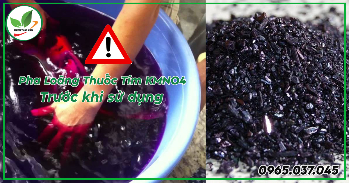 Pha loãng thuốc tím trước khi sử dụng