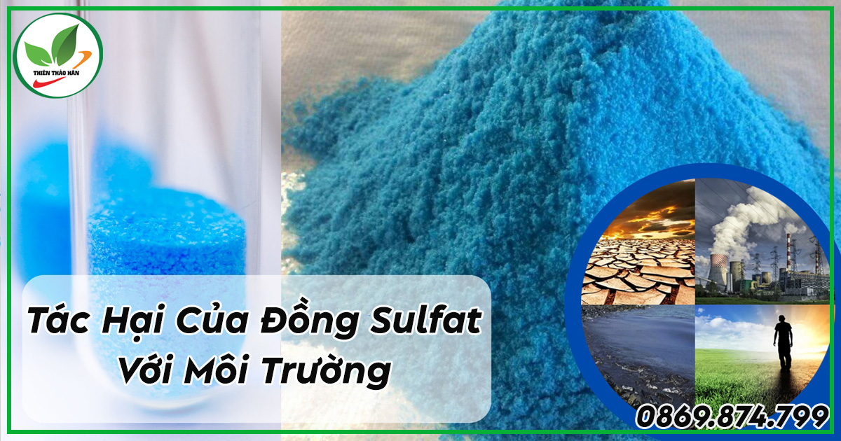 Tác hại của đồng sunfat đối với môi trường