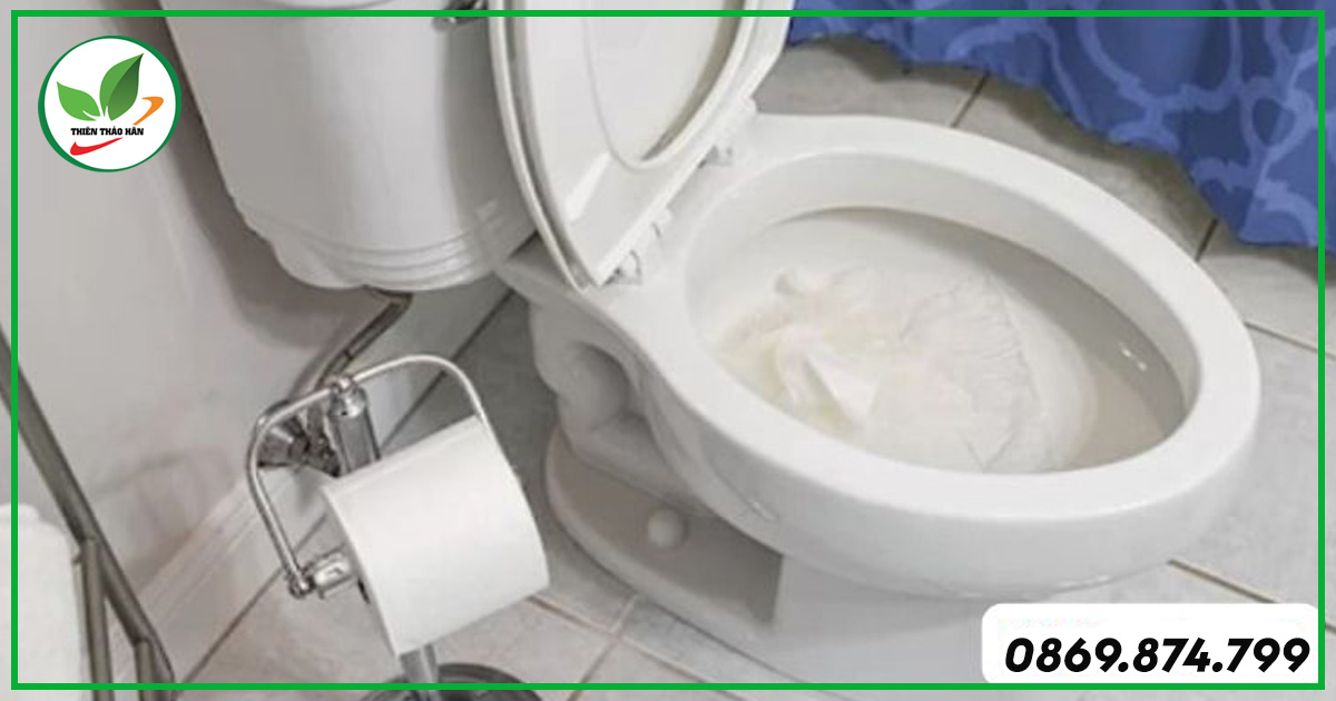 Tại sao bồn cầu bị trào ngược