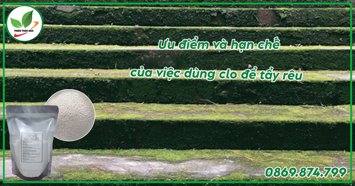 Ưu điểm và nhược điểm của việc dùng bột clo tẩy rong rêu