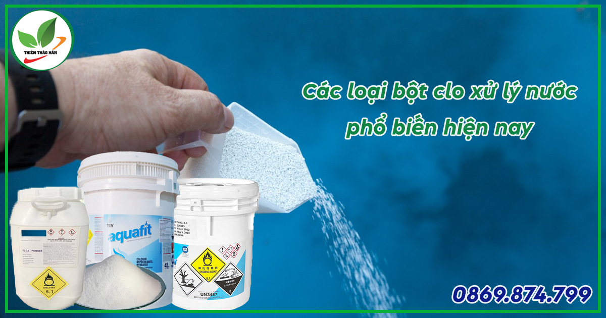 các loại bột clo phổ biến hiện nay