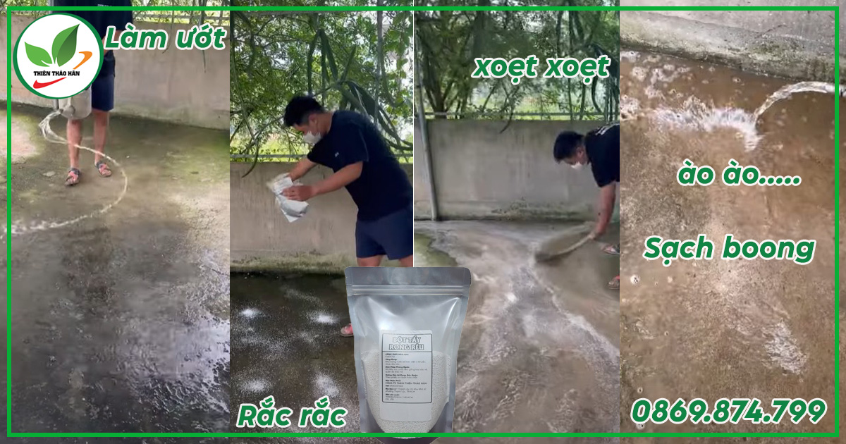 cách dùng bột tẩy rong rêu
