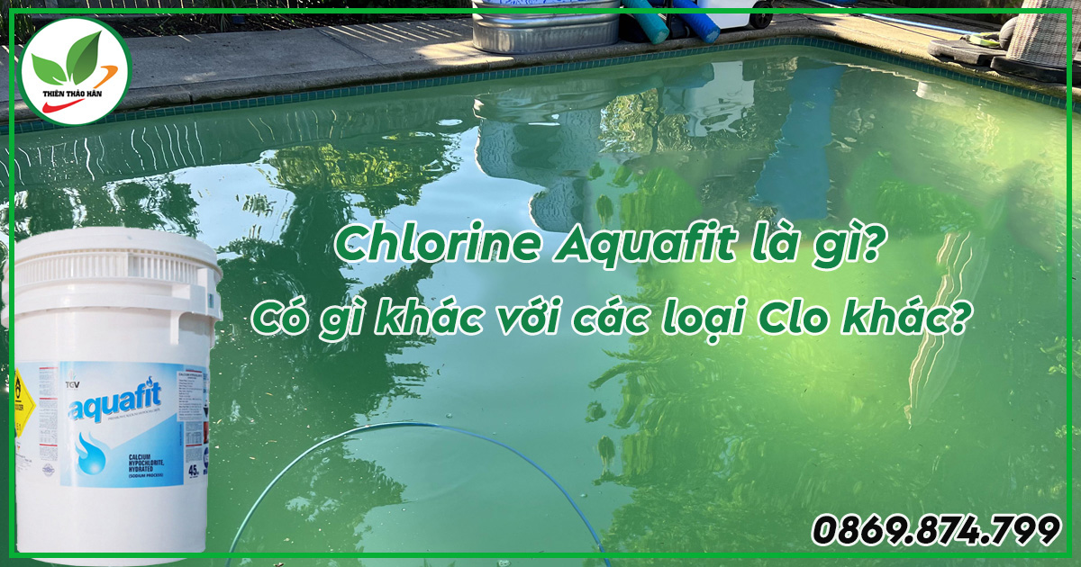 chlorine aquafit ấn độ