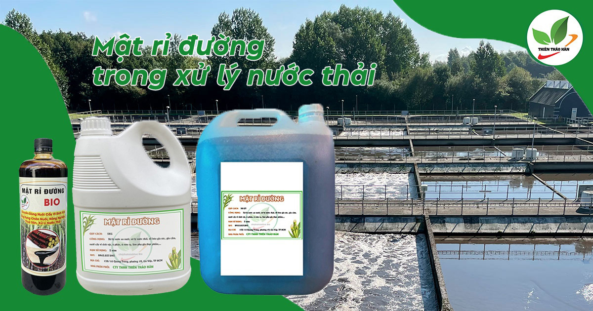 mật rỉ đường trong xử lý nước thải