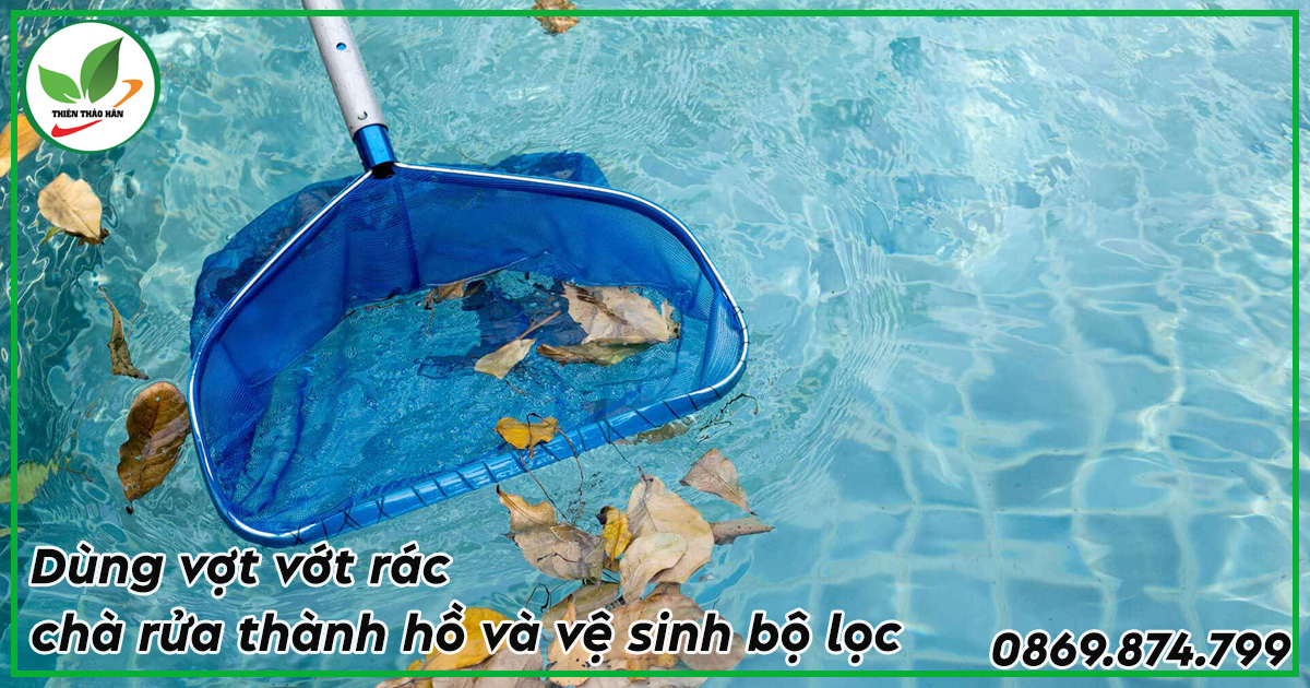 cách phòng ngừa nước hồ bơi bị xanh