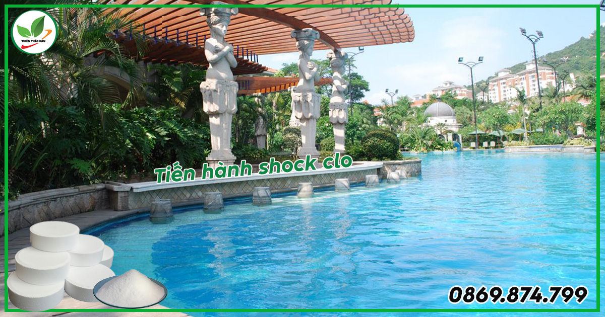 nước hồ bơi bị xanh nên làm gì