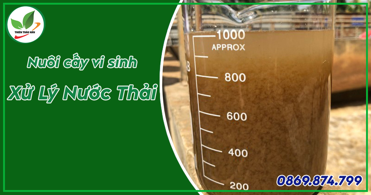 nuôi cấy vi sinh trong xử lý nước thải
