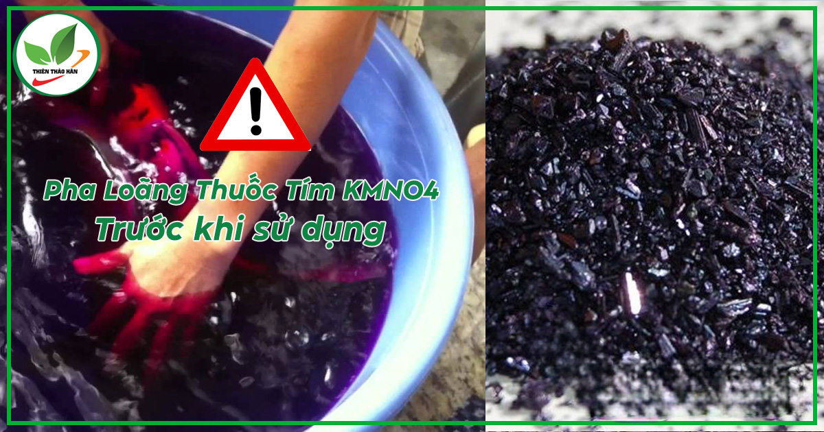 pha thuốc tím trong nuôi tôm
