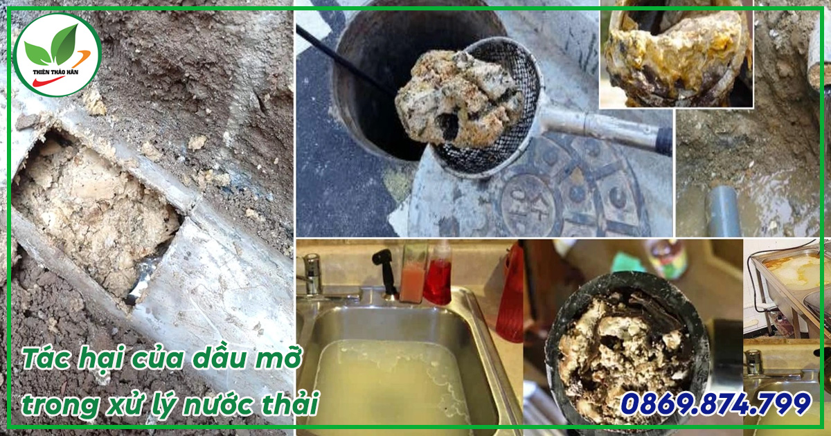 tác hại của dầu mỡ trong nước thải